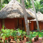 dr_franklins_panchakarma_institute _new-3