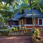 dr_franklins_panchakarma_institute _new-6