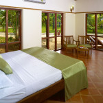 202 Bedroom
