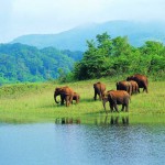 kerala-іndіya (2)