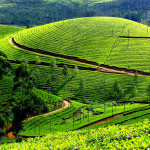 kerala-іndіya (7)