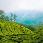 kerala2_b