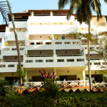 palmshore