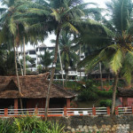 somapalm3