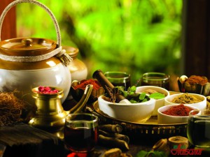 nauka-ayurveda-pri-simptomah-bolezni_1