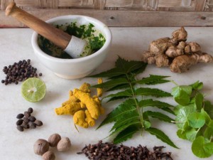 mainayurveda1_600x450_1367904088
